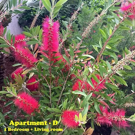 Apartment Mi Stari Grad (Hvar)