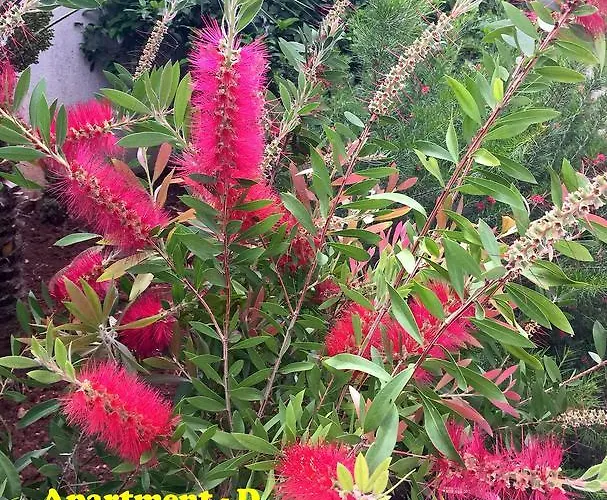 דירה Mi סטארי גראד